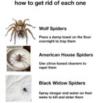 These ideas are brilliant