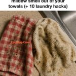 Wow, I never knew this!