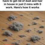 Discovered this oven cleaning trick and I won’t use any other method again.