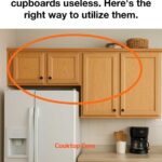 Discovered this oven cleaning trick and I won’t use any other method again.