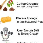 What It Means If You See Pink Slime in Your Bathroom