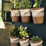 Keep Pests Out of Your Garden—Naturally