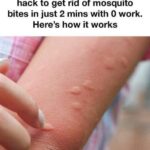 DIY 3 Ingredient Weed Killer