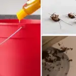 Cut a Lemon into Four Parts, Sprinkle with Salt, and Place It in the Center of Your Kitchen – Here’s What Happens Next