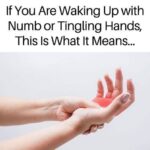 Banish Flies, Mosquitoes, and Cockroaches with These Simple Natural Remedies