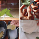 Cut a Lemon into Four Parts, Sprinkle with Salt, and Place It in the Center of Your Kitchen – Here’s What Happens Next