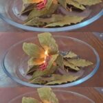 How to Make a Spider Plant Bushier & Lush: 8 Tricks