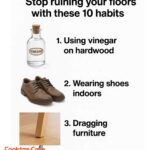 These are the long-term effects of avocados on our kidneys and not everyone tells you.