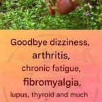 What is SPAM And What Is It Made of, Anyway?