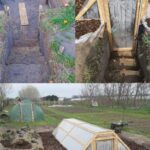 If You Have a Fig Tree in Your Garden, You Should Consider Yourself Very, Very Lucky. Here’s Why, and What You Need to Do