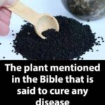 The first animal you see will reveal something about your personality.