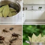 Grandma’s Remedy for Varicose Veins: Natural Relief at Home