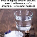 How to Force Spider Plants to Flower to Have More Spider Plants