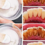 The Biblical Herb Long Recognized for Its Medicinal Properties: Today’s Profound Effect on Health