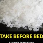 Can you spot the hidden dog? Only people with eagle eyesight can!