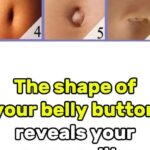 The Perfume I Threw Away Held a Secret I Discovered Too Late