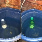 Wow, I had no idea you could make bread with just 2 ingredients!