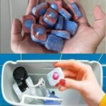 5 Simple Home Remedies to Prevent Ringworm and Keep Your Skin Healthy