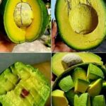 After 70 years, this common mistake ruins your circulation