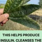 After 70 years, this common mistake ruins your circulation