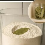 How to Grow Rosemary That Thrives for Years – 9 Proven Tips for Success