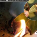 You’re doing it all wrong. Here’s the right way to clean stainless steel