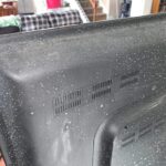 How To Grow Mint At Home In Water Without Soil