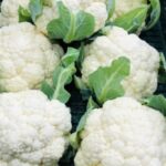 How To Put A Delicious Spin On Grilled Cheese