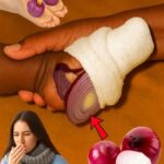 One Dough, Many ways