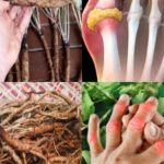 Creamy Baked Broccoli, Tomatoes, and Kale