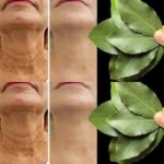 The Hidden Healing of Fig Leaves: Natural Support for Diabetes, Digestion, and More