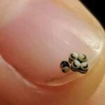 Good Ole Fashion Mac and Cheese