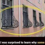 We ordered a salad, but there were tiny black specks in the food – we went straight to the hospital