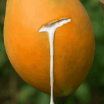 What It Really Means When Someone Helps the Server Clear the Table, According to Psychologists