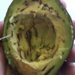 My partner made spaghetti but didn’t rinse the pasta. I couldn’t eat it or serve it. Isn’t rinsing pasta a must?