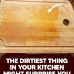 What the Little Button on Your Seat Belt Really