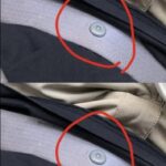 Grandma’s 15-Minute “Crazy Cake”: The Legendary Recipe That Defies Time