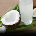 Homemade Natural Repellent for Fleas, Ants & Cockroaches