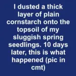 I had no clue about this