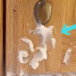 You’ve Probably Never Cleaned This in Your Bathroom and You Really Should!