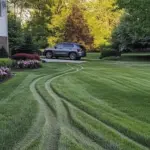 Apply this 1 method on your teeth and get rid of yellow teeth and plaque buildup