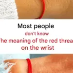 Here’s What to Do If You Spot a Lone Star Tick