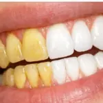 I Saw Something Strange Under the Back Seat… What I Discovered Was Truly Alarming