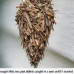 The Aluminum Foil on the Door Handle Trick: A Simple Security Hack