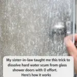 I buried a penny in my garden every morning for 2 weeks. This is what happened