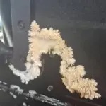 Wrap your feet in aluminum foil & get this stunning change