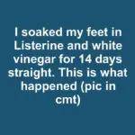 Found this small, hard, brown pill-shaped object behind my kitchen cabinet. It has a weird ridge on the side and looks like a dried bean. What is this?