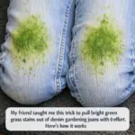 Mama smothers pork chops in cola soda in casserole. This recipe is to die for