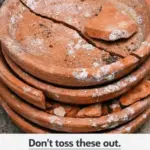 Lady submerges 45 empty orange pill bottles into frosted green glass paint. Everyone is copying this idea for their patio!