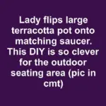 Lady wraps a metal birdcage with moss garland and stuffs it with roses. This patio idea is blowing up right now